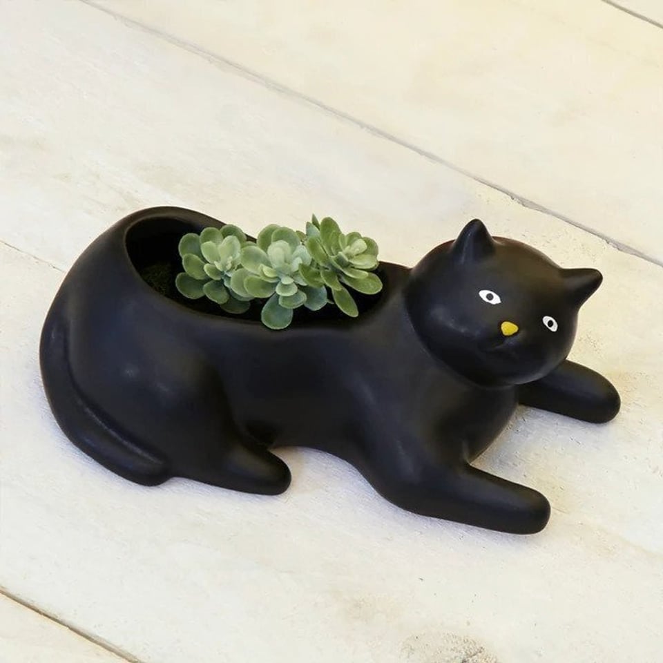 Plantenpot Kat