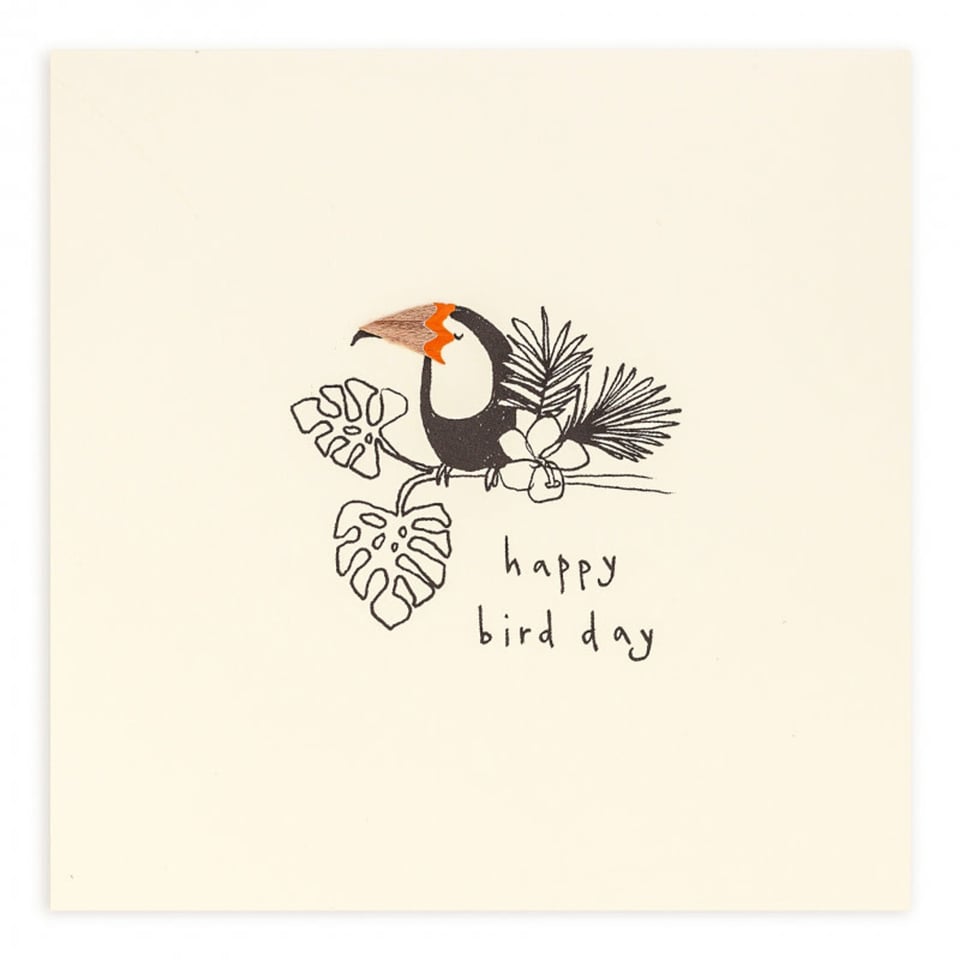 Pencil Shavings Cards by Ruth Jackson Happy Bird Day Toucan