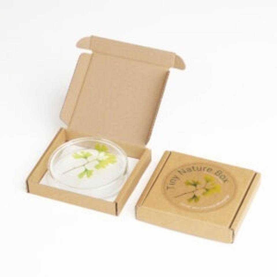 Tiny Nature Box-Ginko