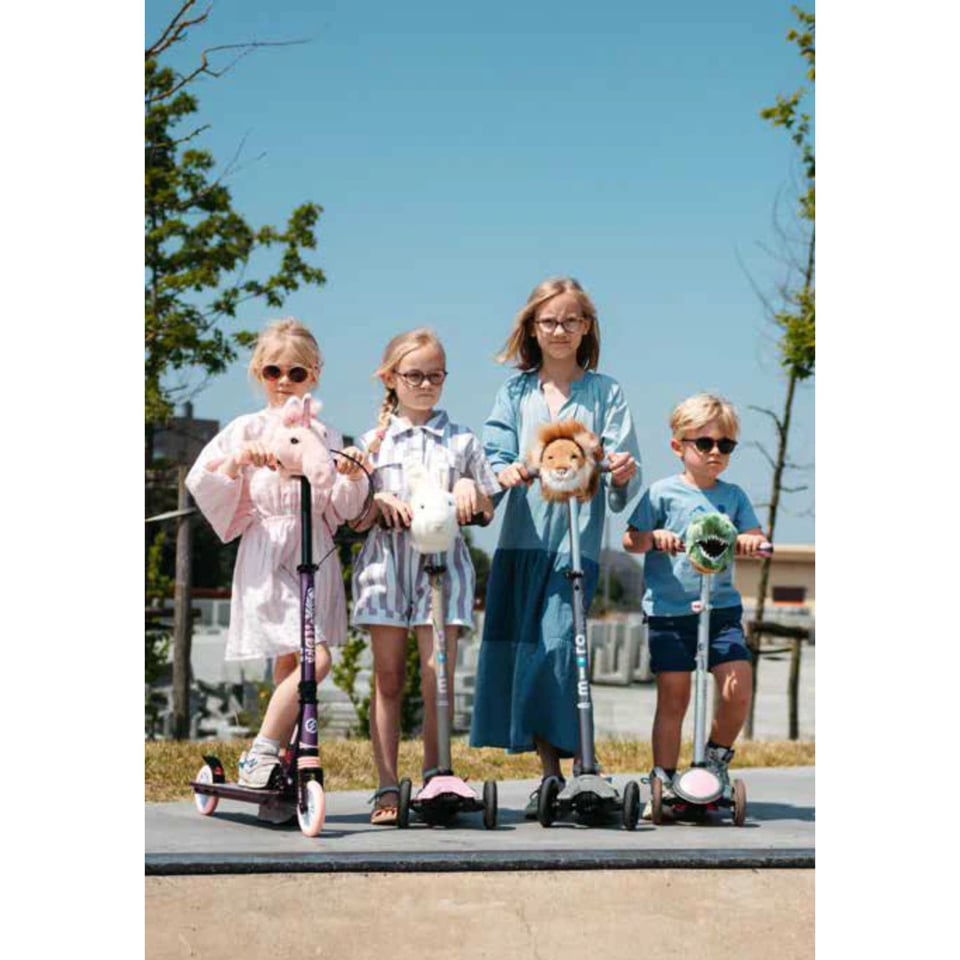 Wild & Soft Scooter Head T-Rex