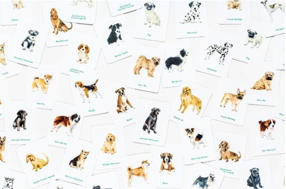 Honden & Puppies Memory Spel