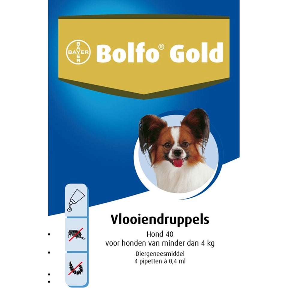 Bolfo Gold Hond 40 - 4 Pipet