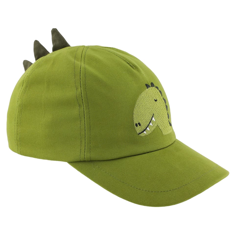 Cap Mr. Dino
