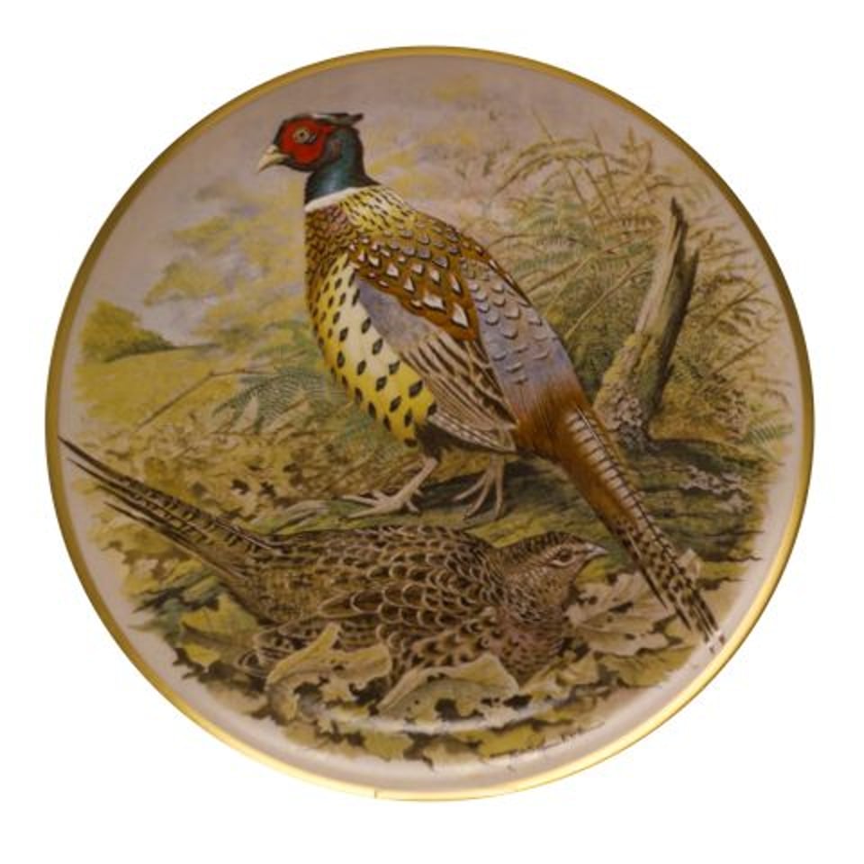 Game Birds - Chinese Fazant