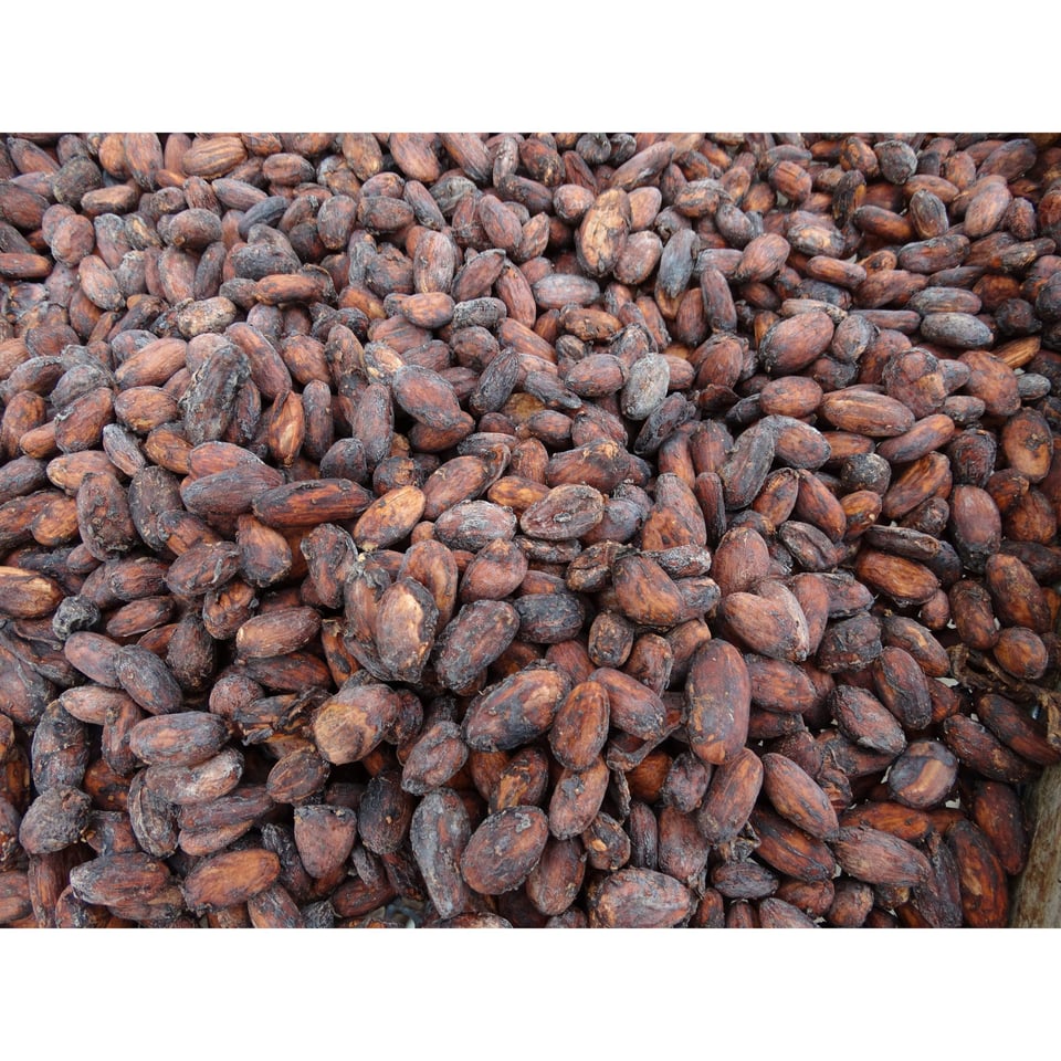 Bolivian Amazonian Chocolate 86 % Organic Certified 70 Gram