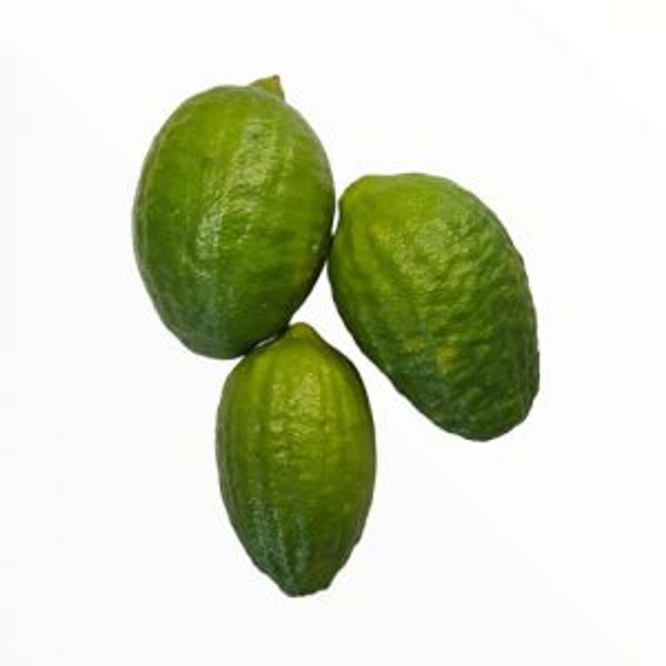 Jara Lemon