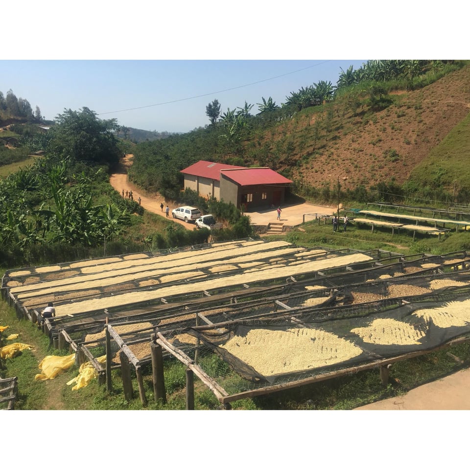 Rwanda - Justin Masubyimana