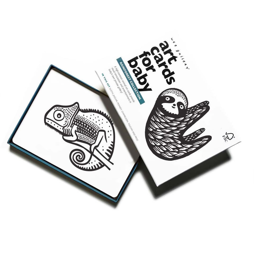 Wee Gallery Art Cards Rainforest
