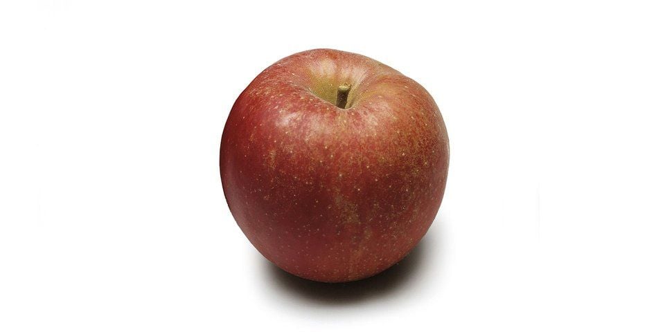 Goudreinette Bak-Appel