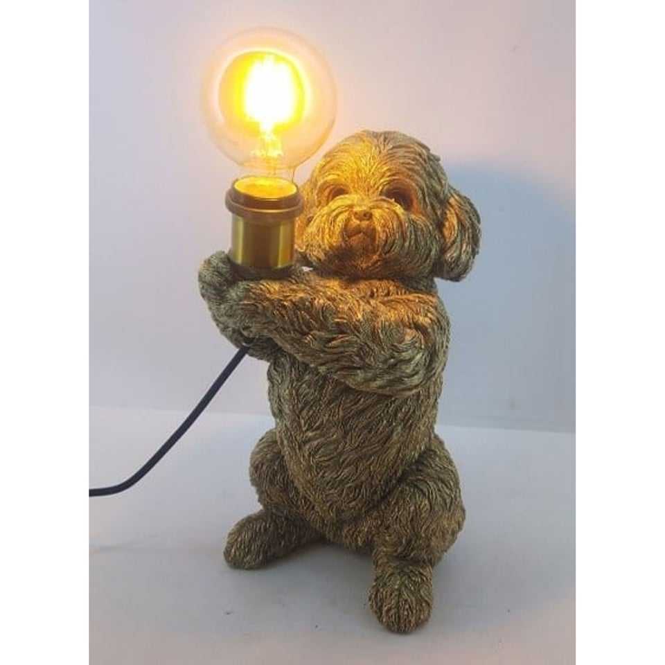 Hond Lamp Boomer