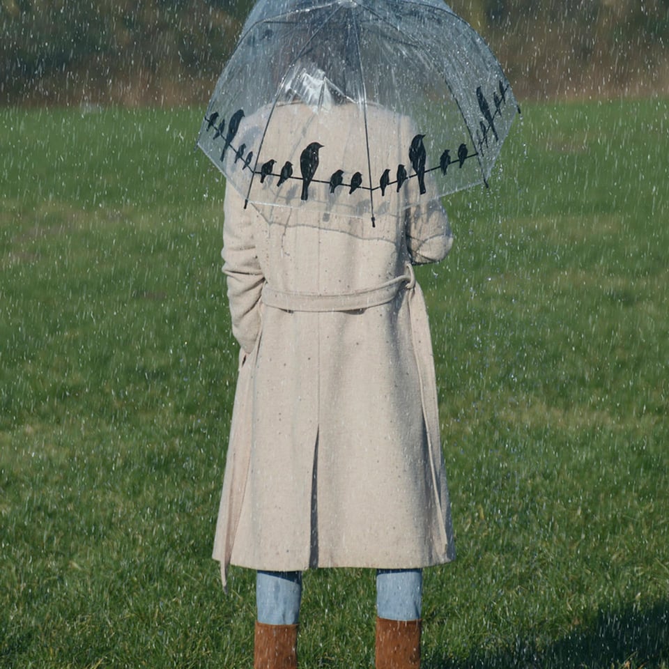 Esschert Design Paraplu Vogels Op Draad