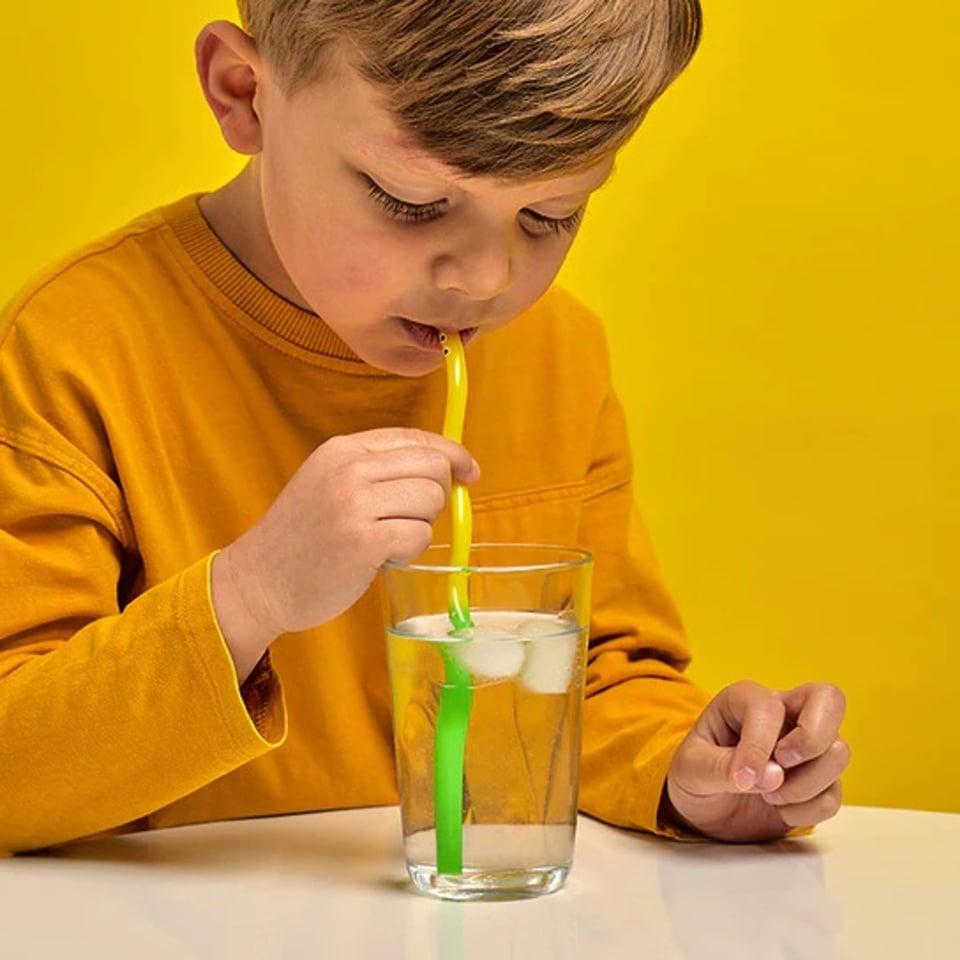 KIKKERLAND Krullende Worm Rietje