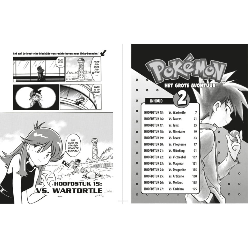 Pokémon Manga 02