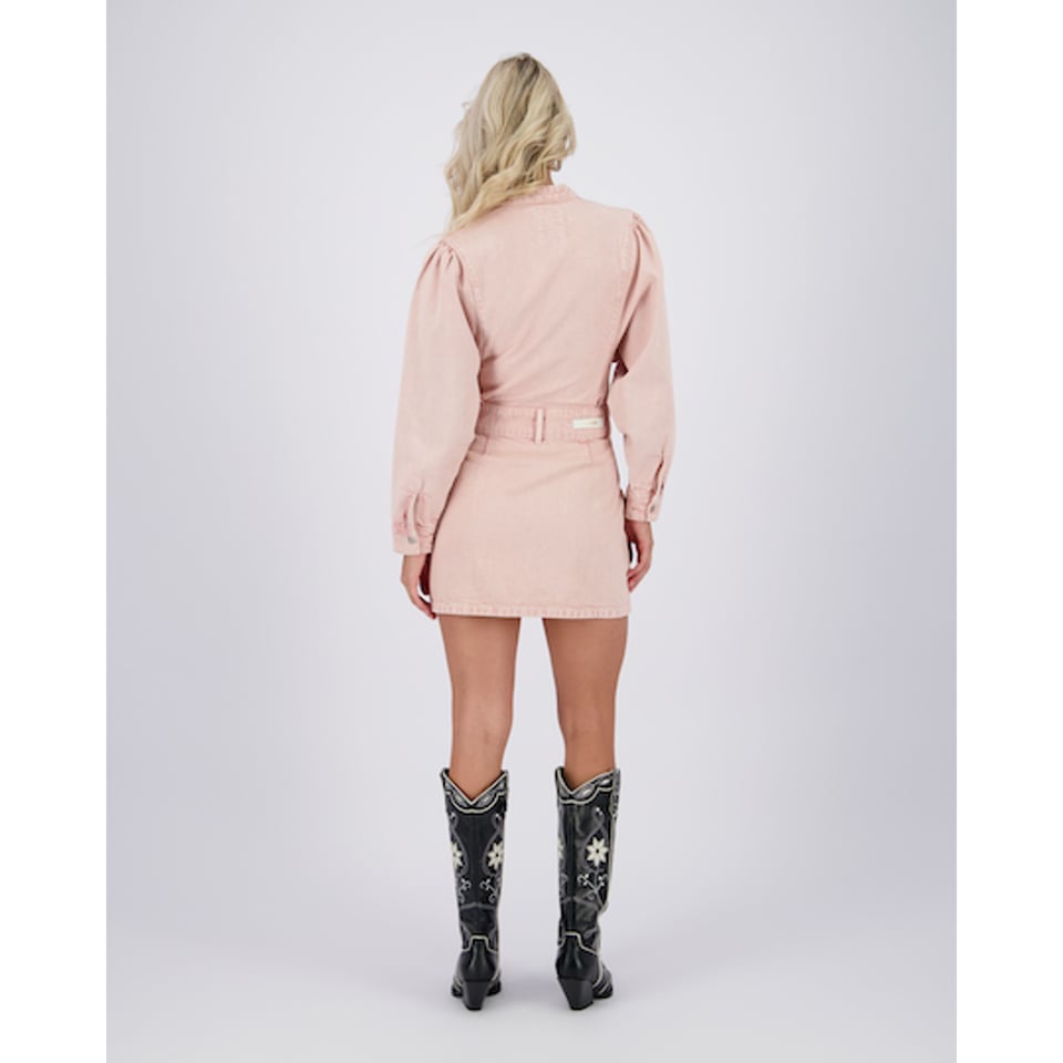 RAIZZED Dress Sage Dusty Pink