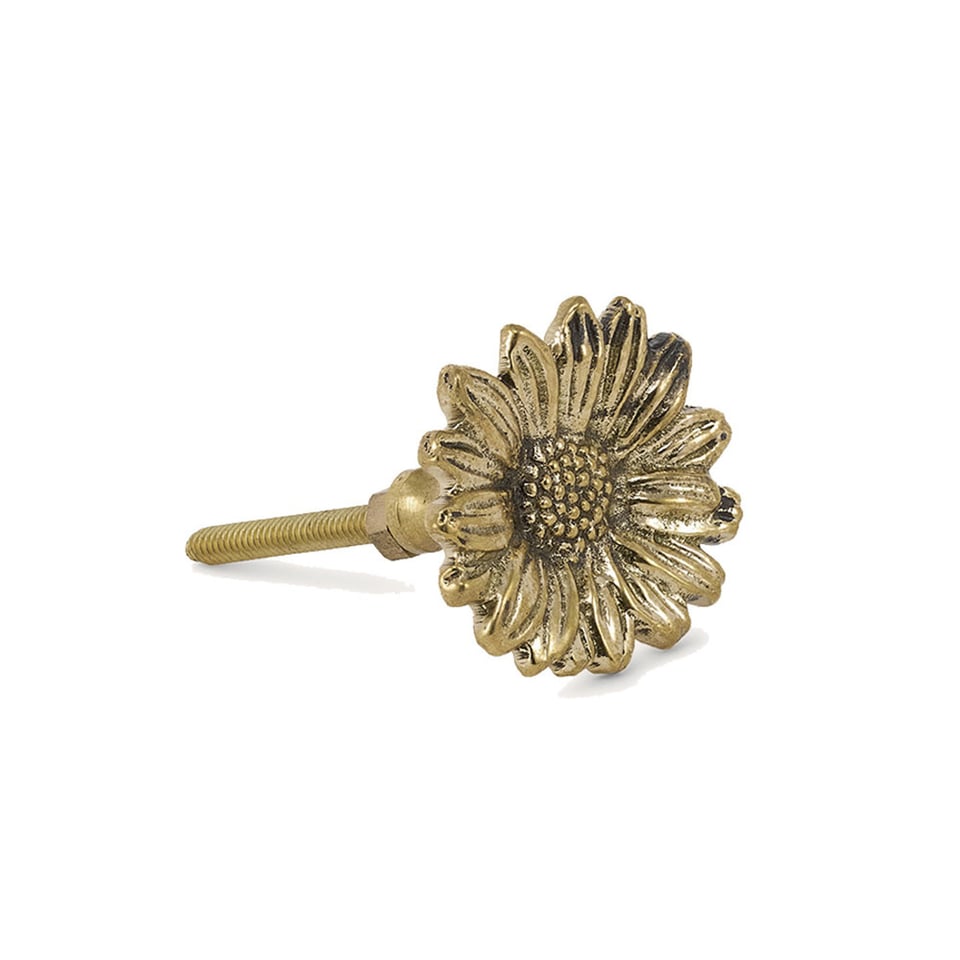 Ladeknop Breezy Daisy Messing 4x4cm