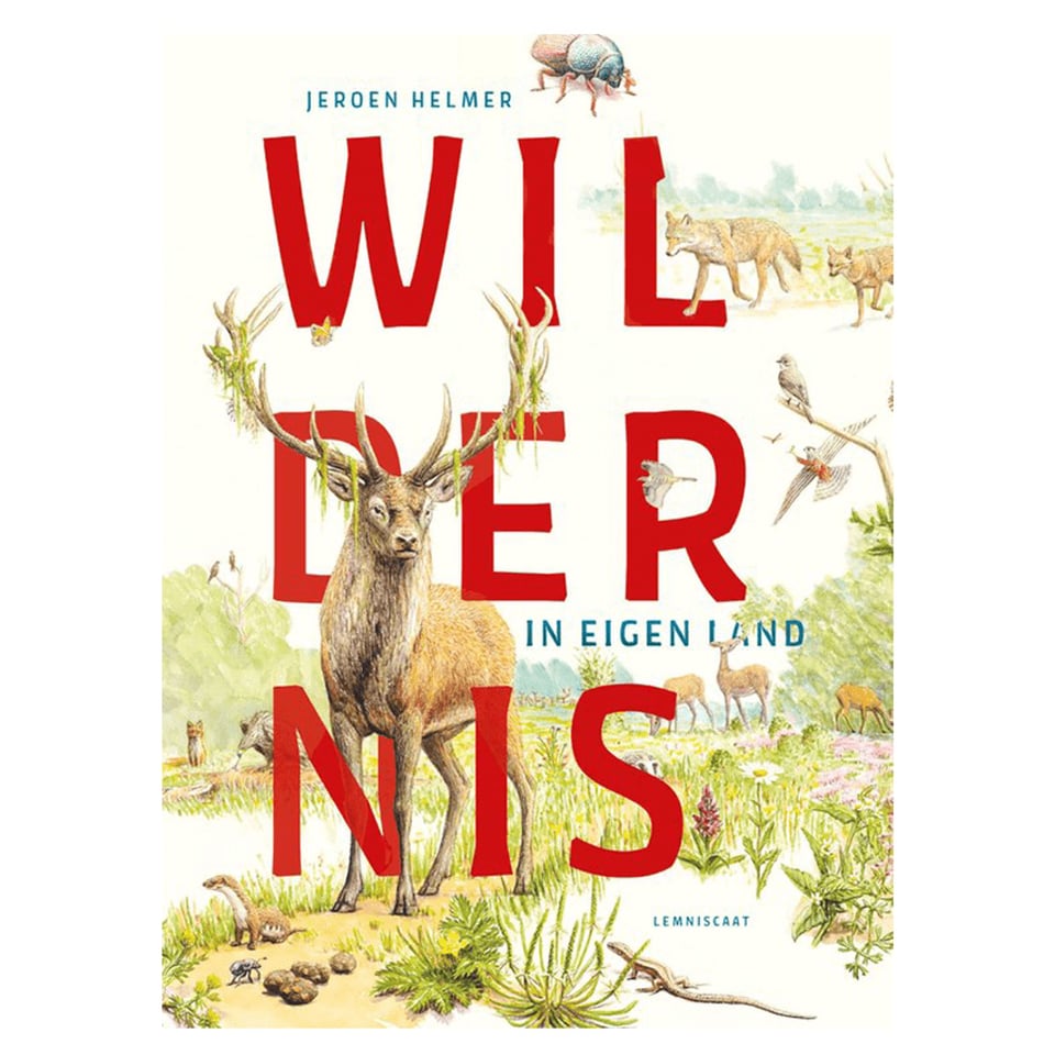 Wildernis in Eigen Land - Jeroen Helmer