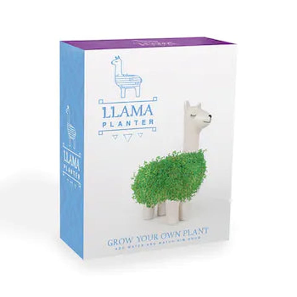 Green Lama - with Chia Seeds