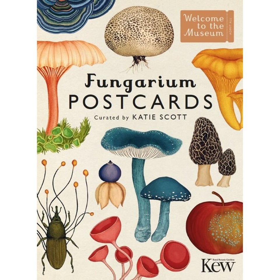 Fungarium Postcards