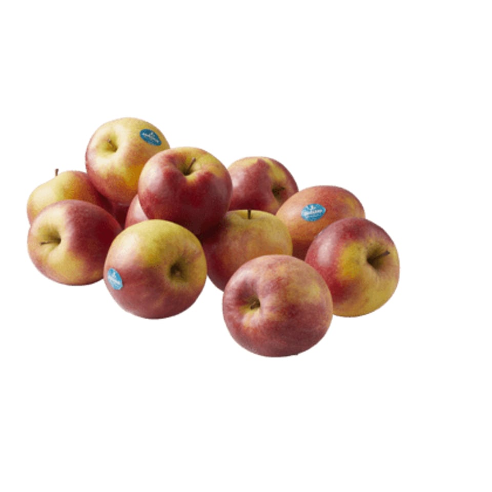 PLUS Appels Morgana Los