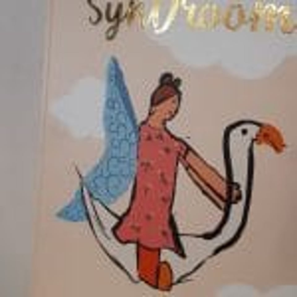 Een SynDroom Kinderboek