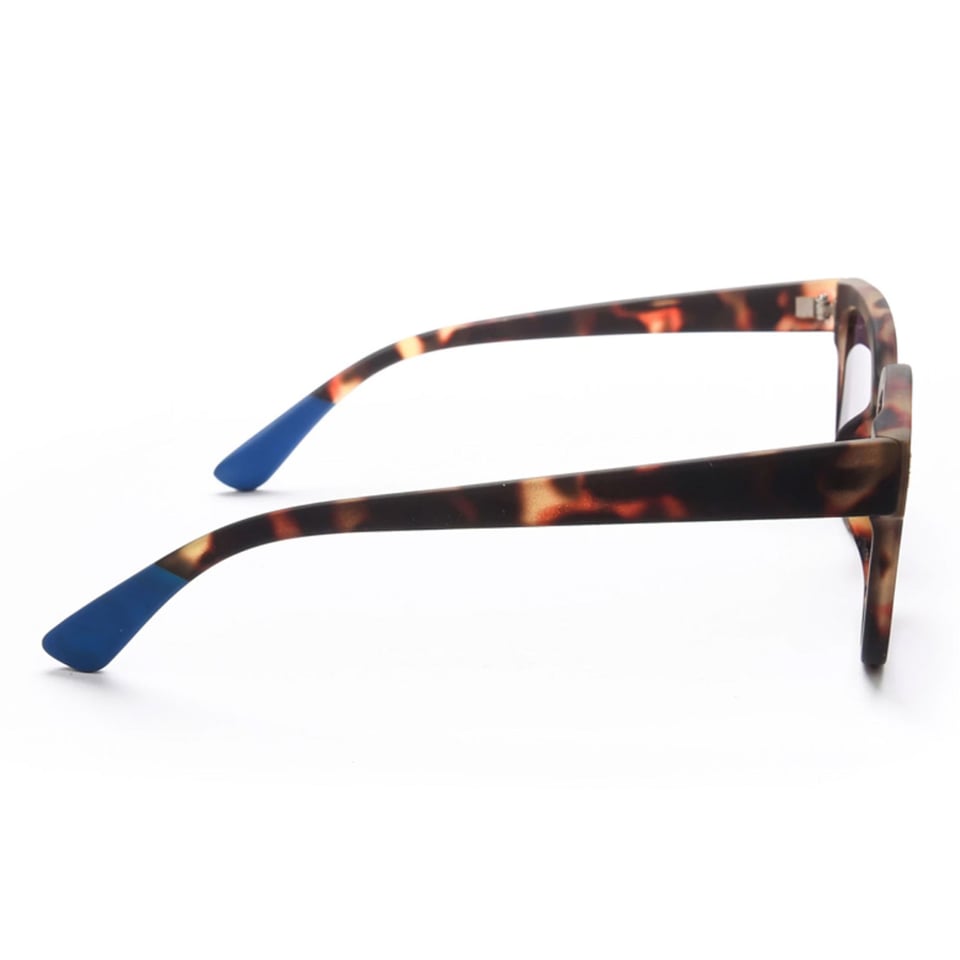Zonnebril GIOVANNI Classic Havana OK012-CH