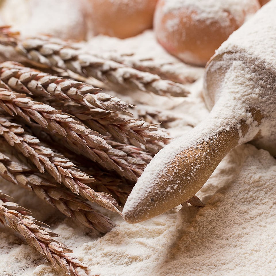 Bread Flour (White) Organic