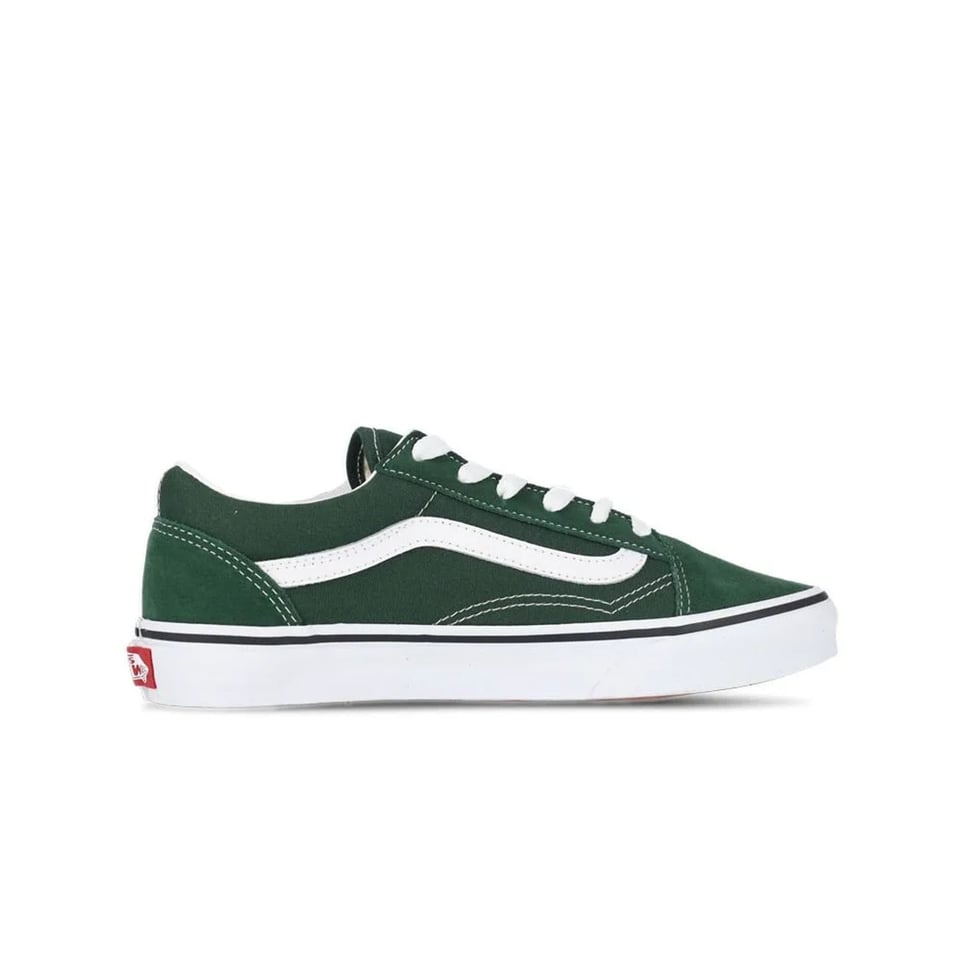 Vans Old Skool Color Theory Mountain View