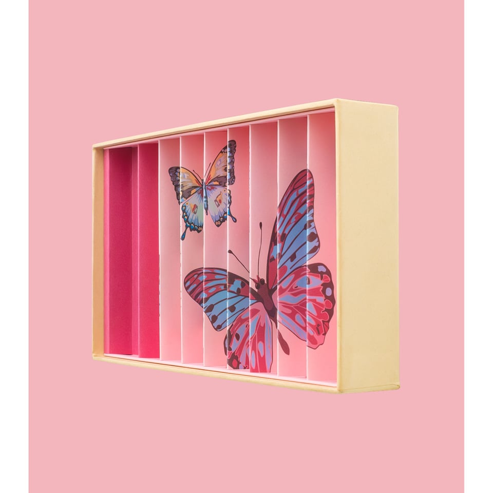Billes & Co Box Butterflies Anamorphic