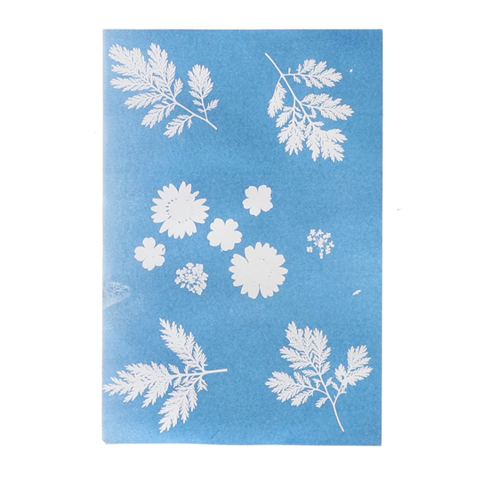 Solar Fotopapier