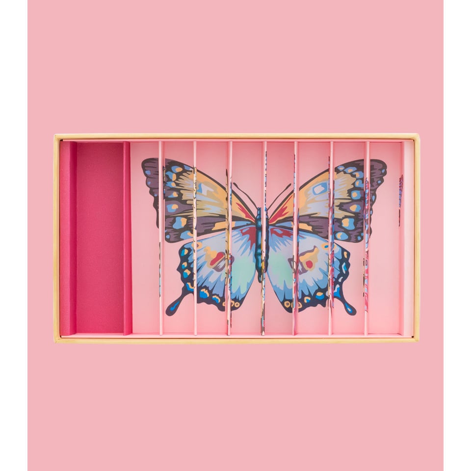 Billes & Co Box Butterflies Anamorphic