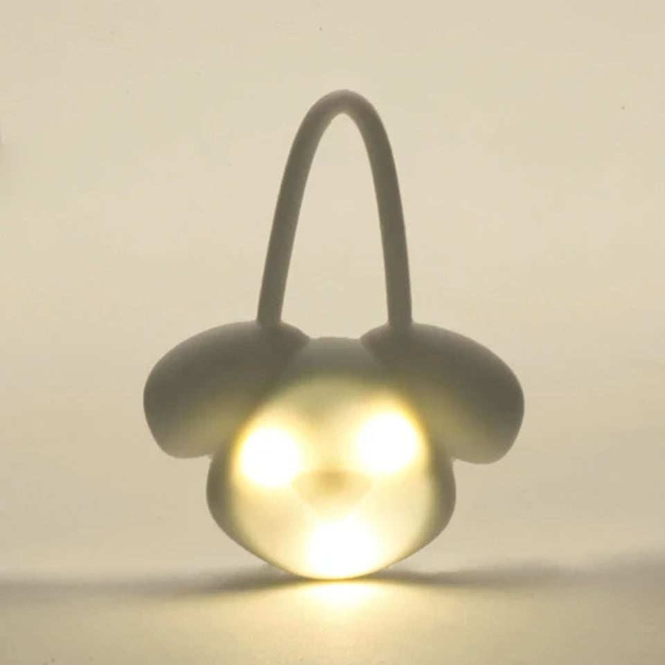 KIKKERLAND Lichtgevende Naamtag