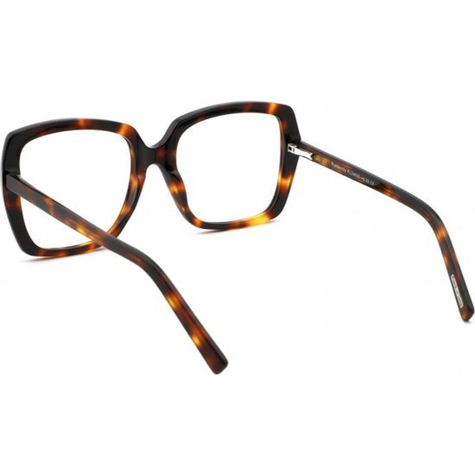 Frank and Lucie Reading Glasses Eyedentity Turtle Shade