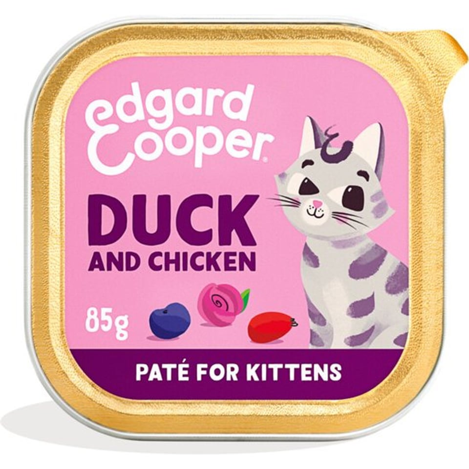 Cat Paté Kitten