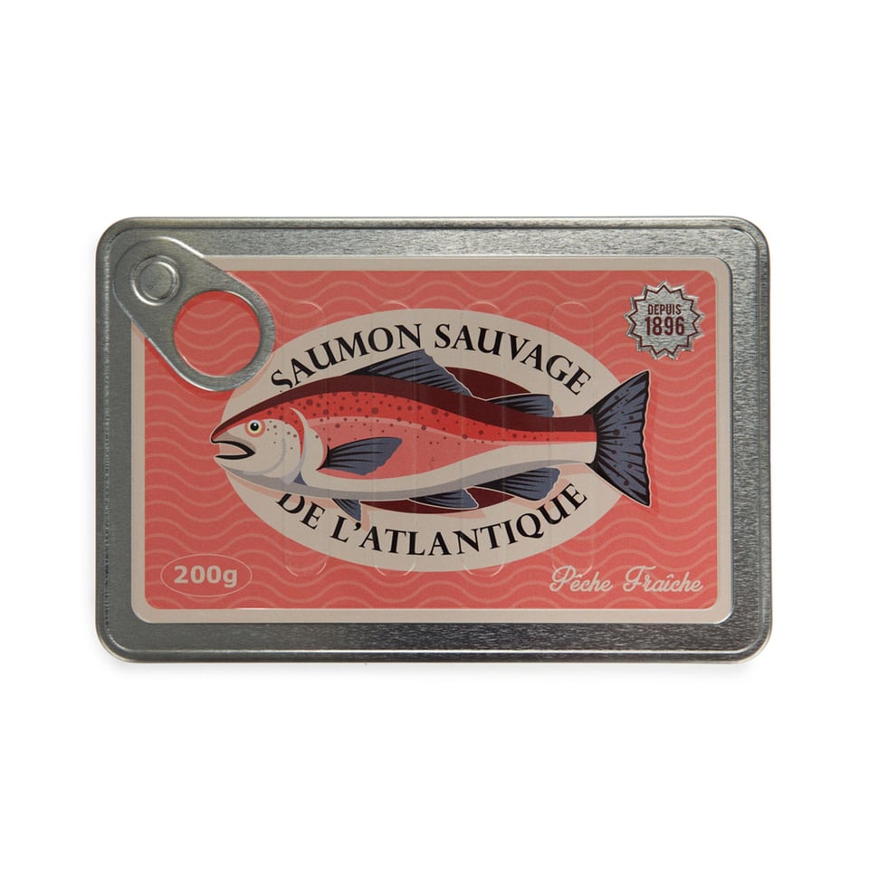 Balvi Notebook Zalm