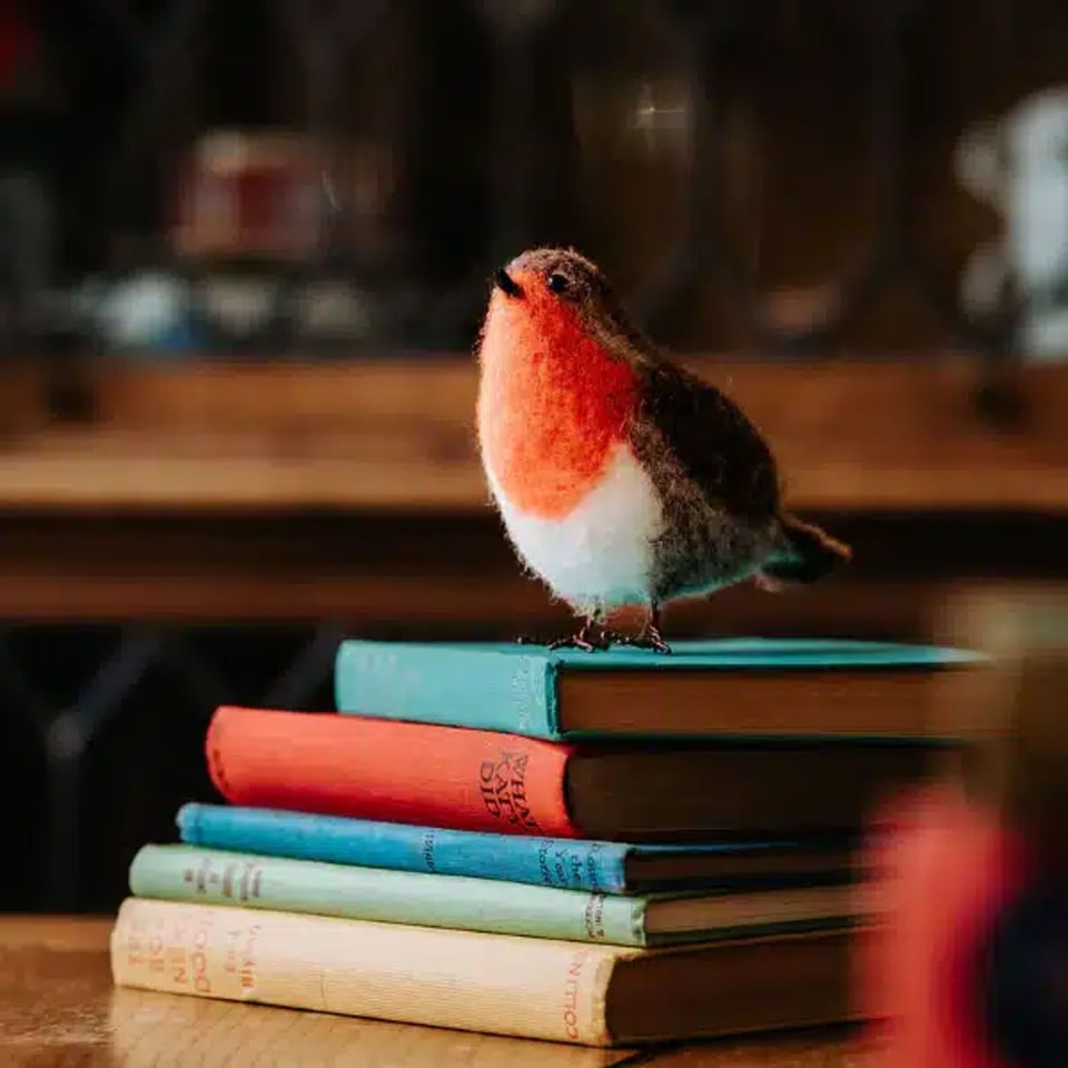 Red Robin Naaldvilten Knutselset
