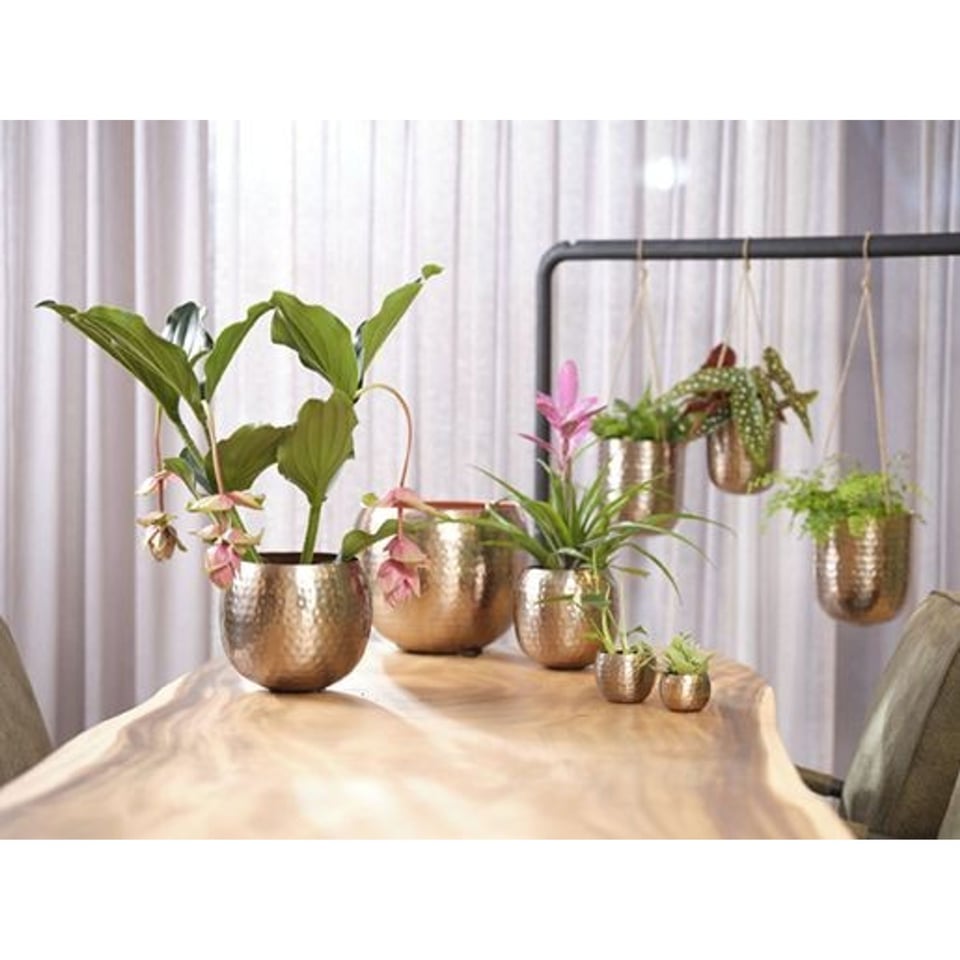Bloempot Kody Rosé Goud H25