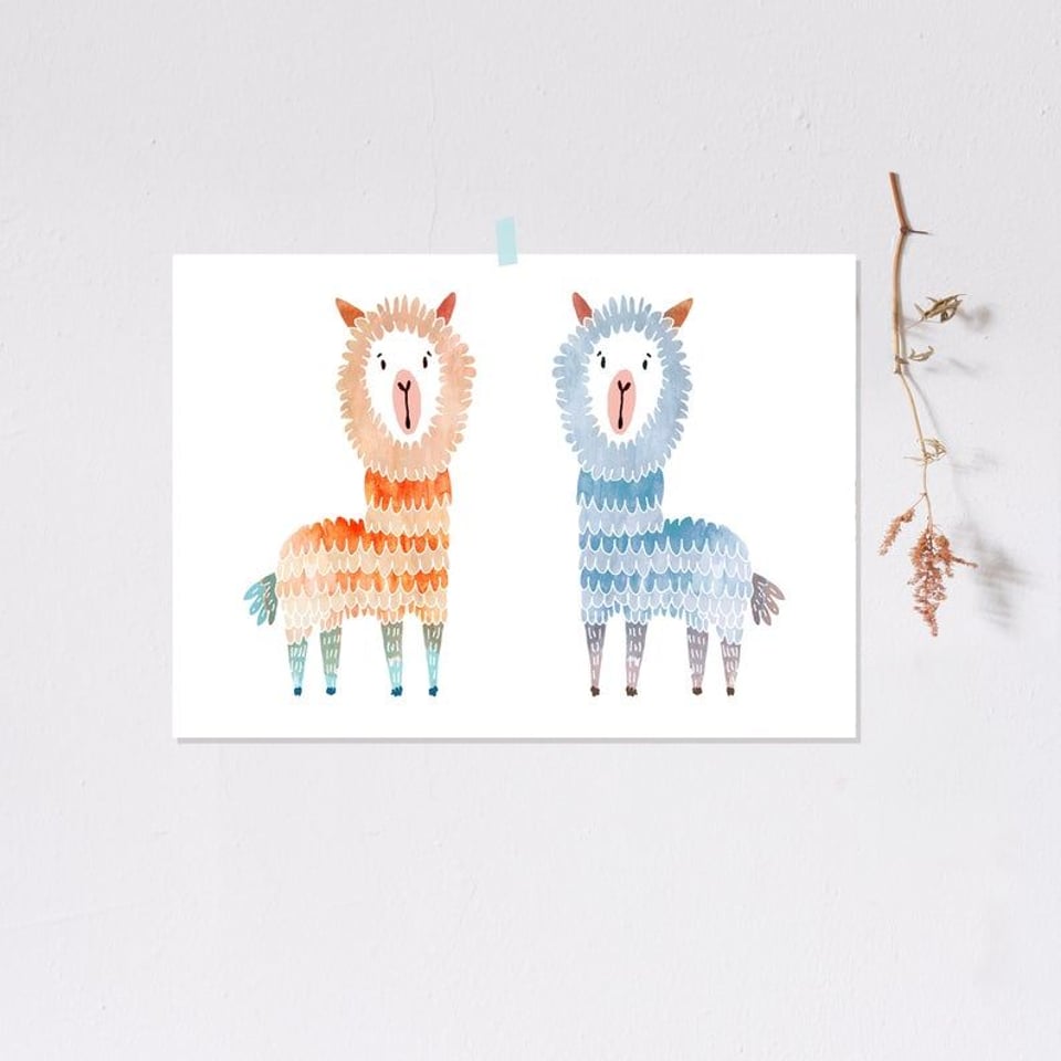 Dierenposter Noull - Alpaca's