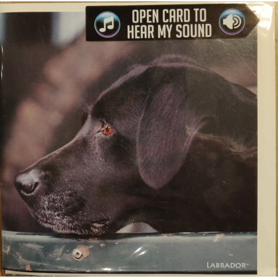 Really Wild Cards Wenskaart Met Geluid Country Sports Labrador