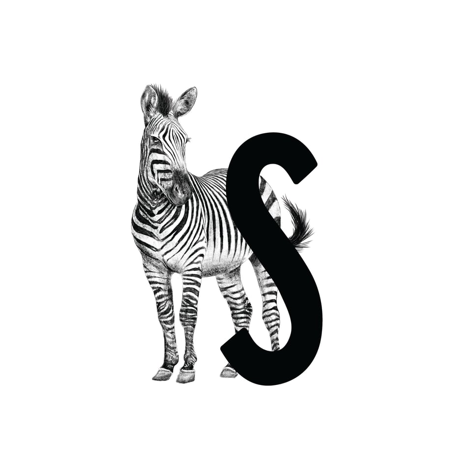 Letterbord S Met Zebra