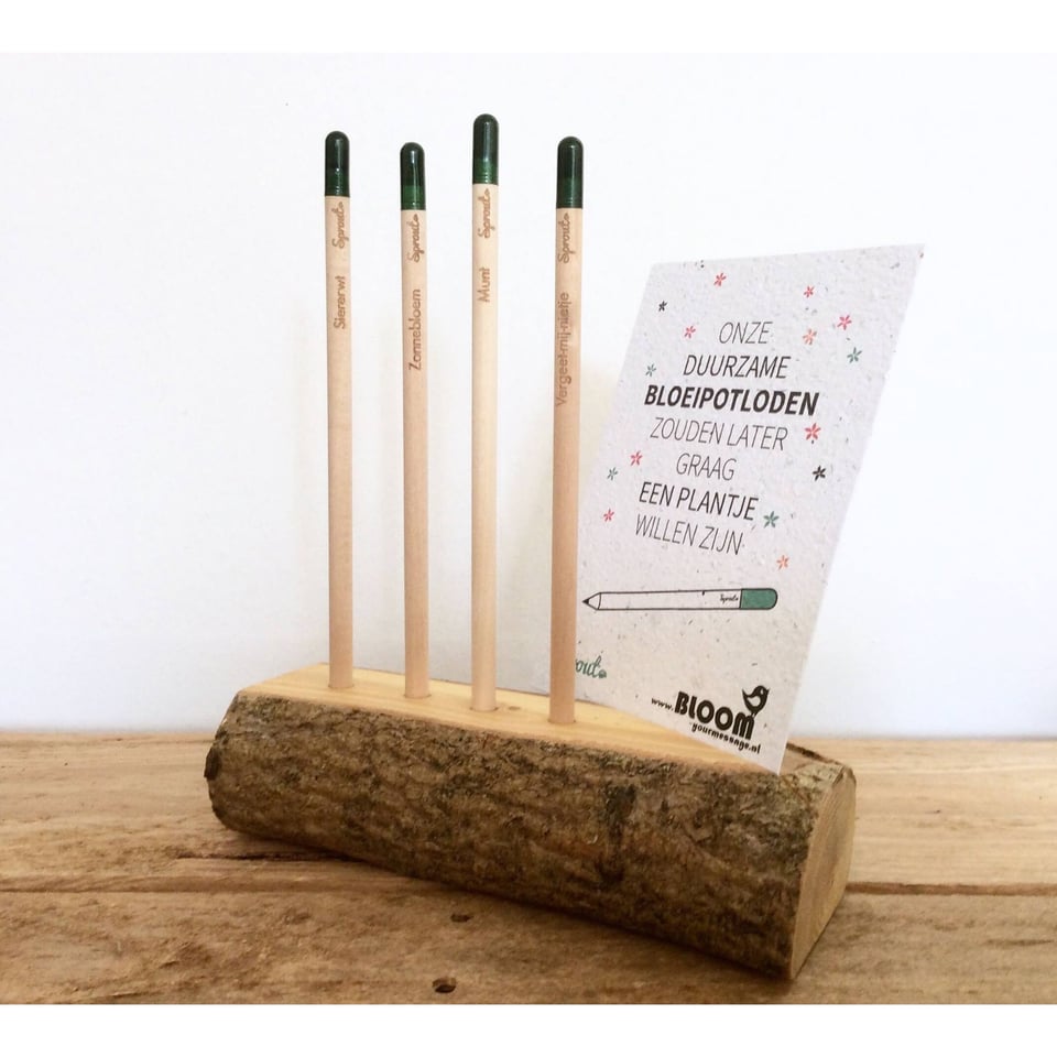 Bloom Bloeipotlood