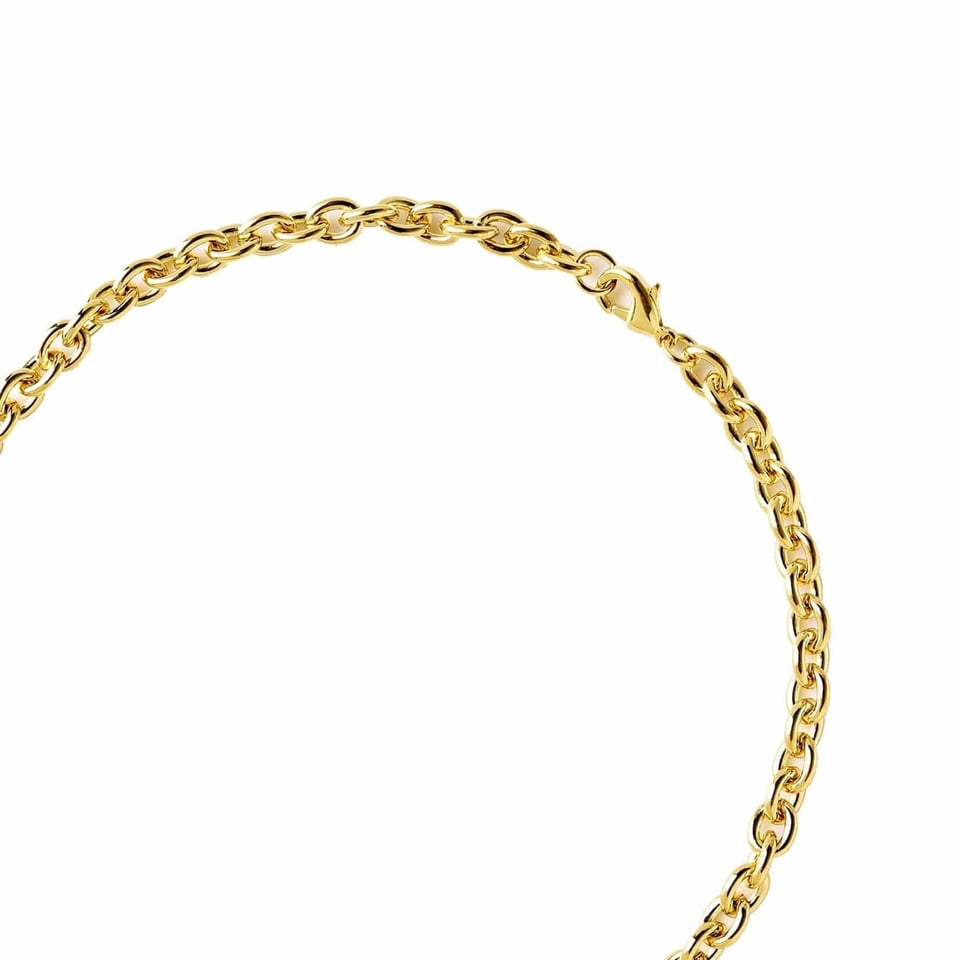 Gold Plated Rolo Chain Necklace - Brass / Gold Plated