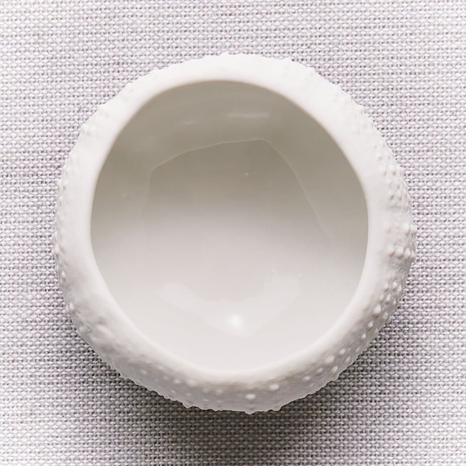 Zee-Egel 6 Cm