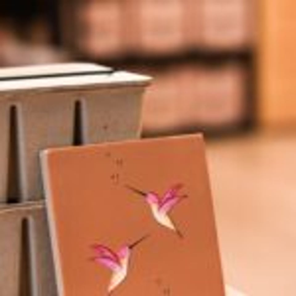 Juulz Illustrations Tegeltje Kolibri