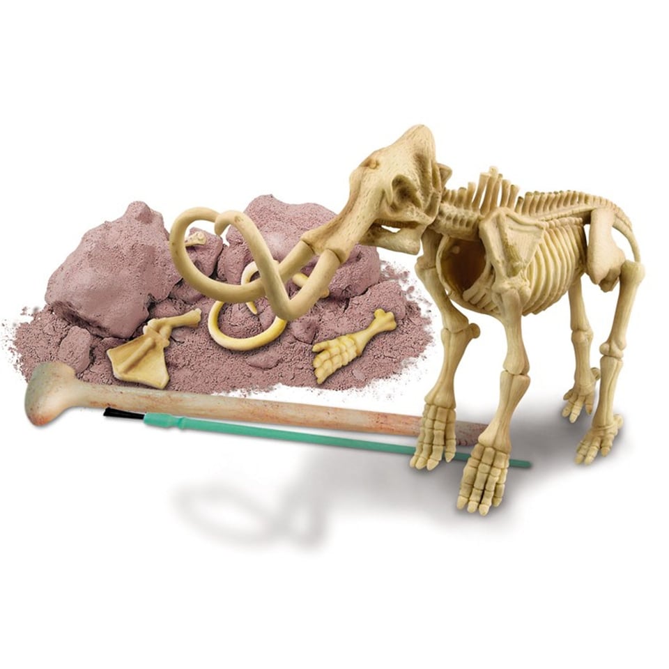Skelet Bouwpakket Mammoet