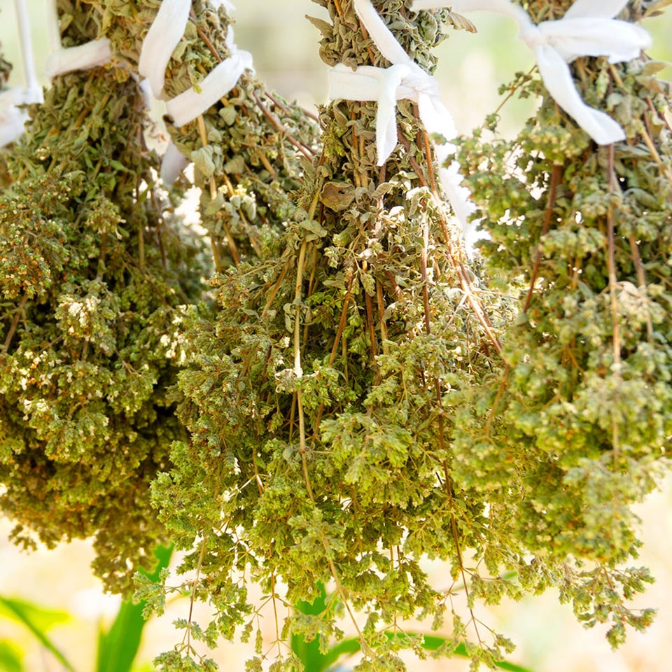 Oregano Leaves Greek Organic