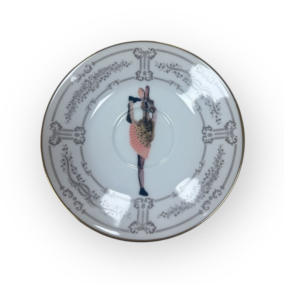Ballerina Konijntje